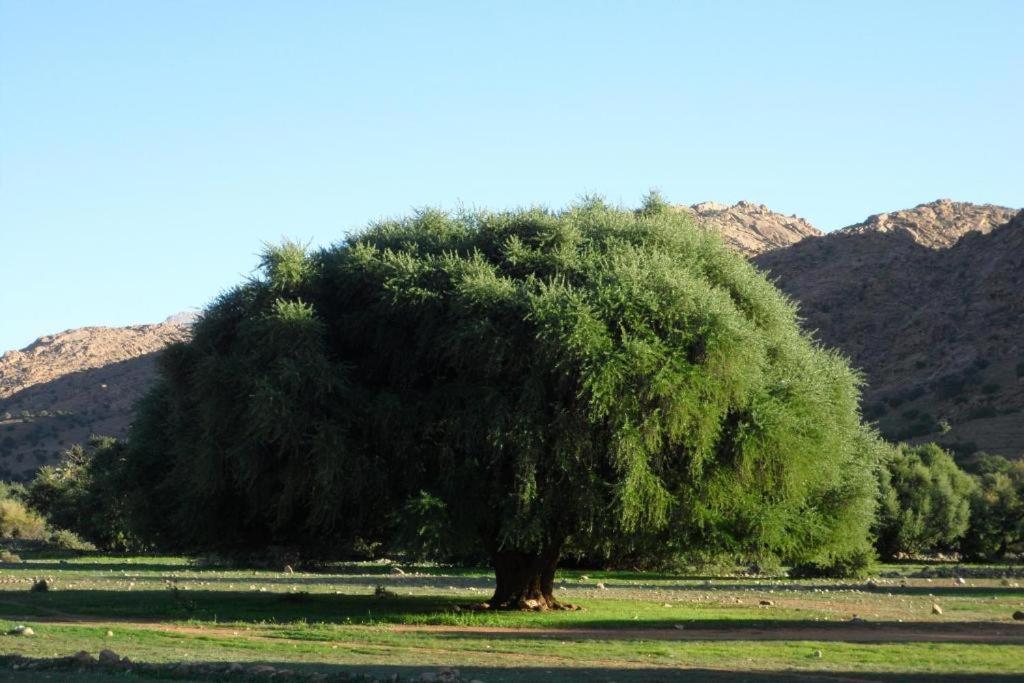 Click Excursions Tafraoute Otel Taddart Dış mekan fotoğraf